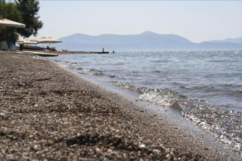 Posidonia Pension Амаринтос Екстериор снимка
